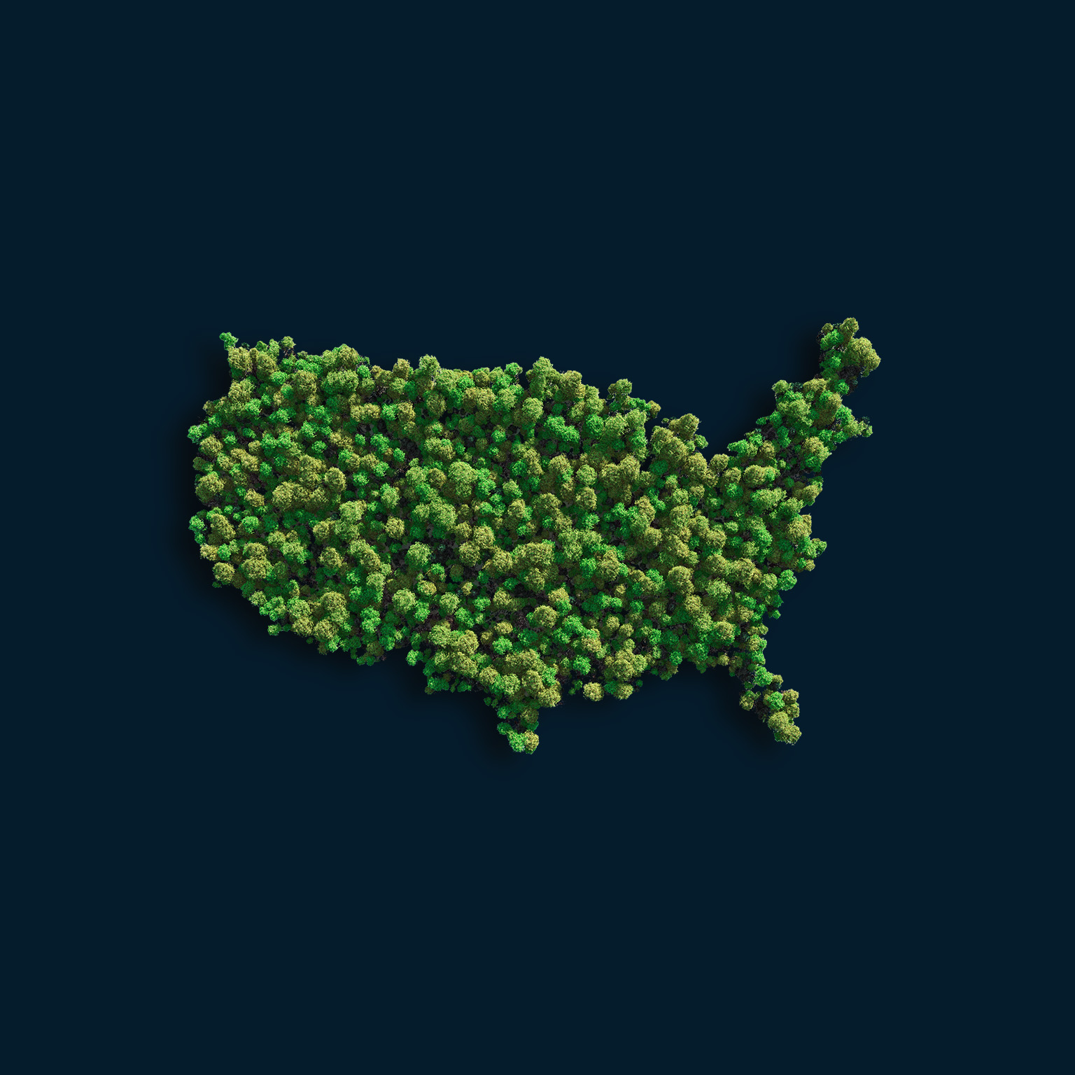 Net-zero United States: A business guide | McKinsey