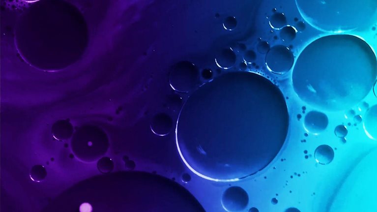 Agile Organizations