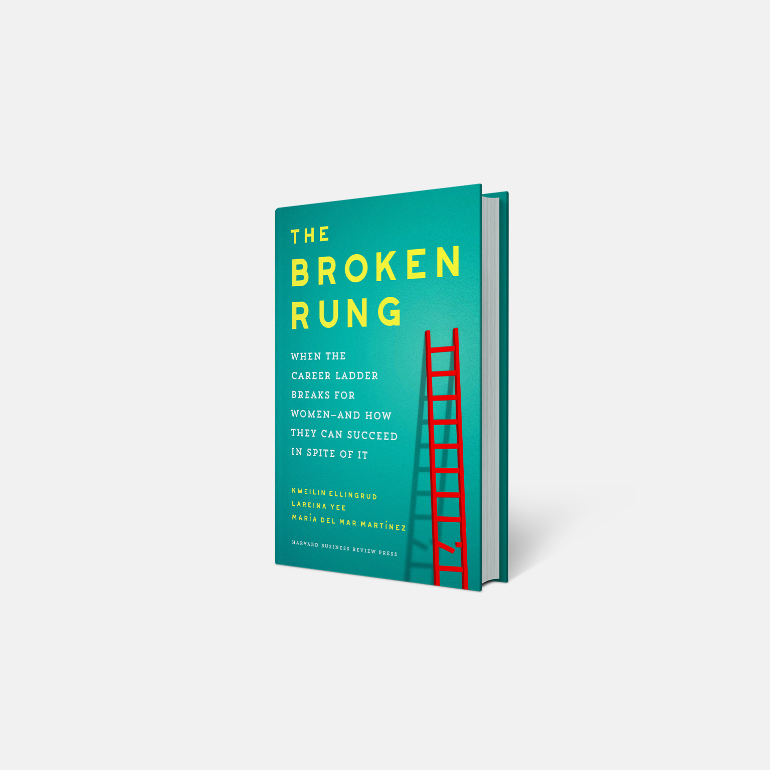 3D rendering of The Broken Rung book jacket