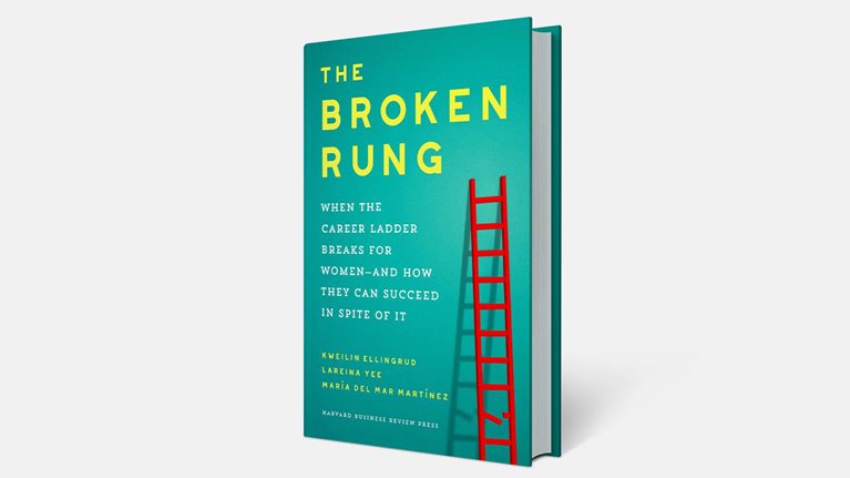 3D rendering of The Broken Rung book jacket