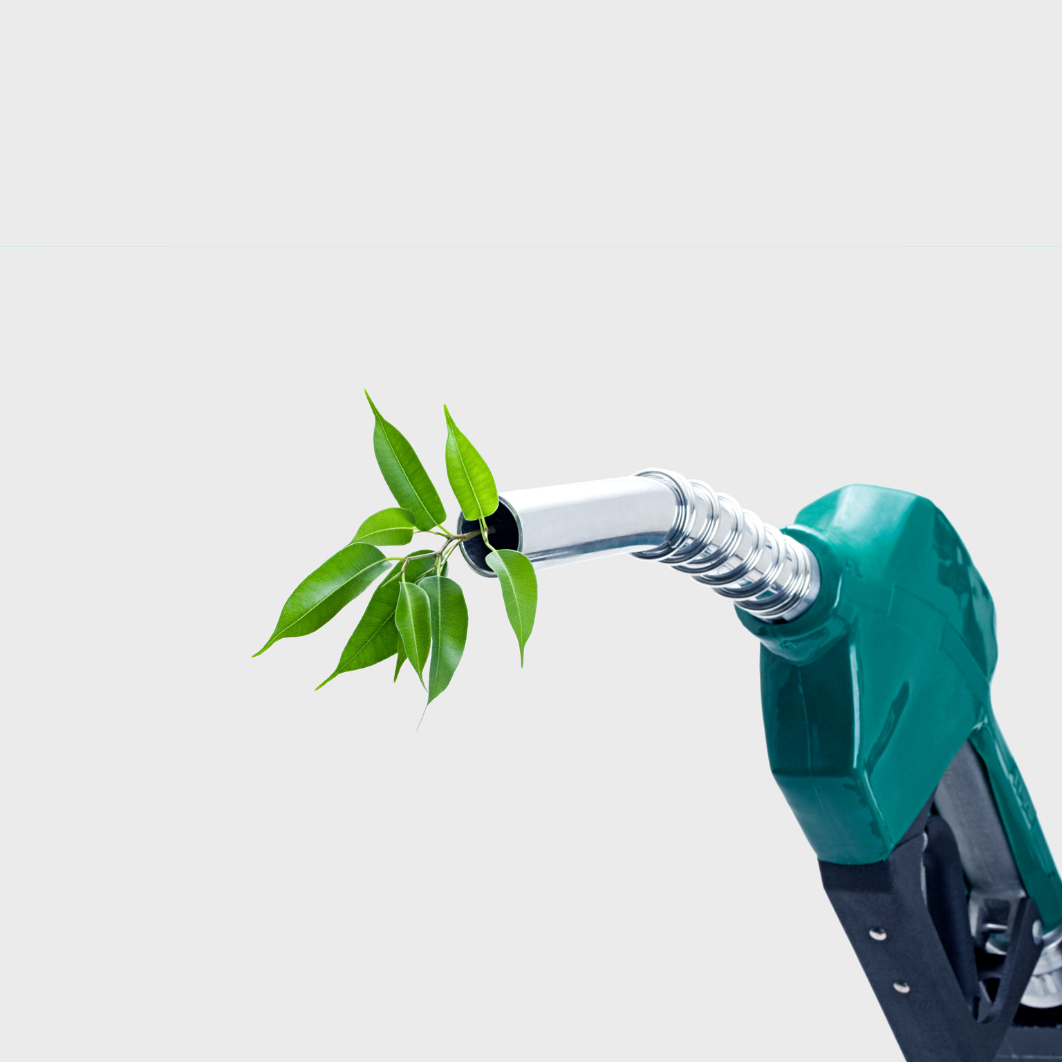 A green gas nozzle is shown against a light gray background with a leafy green plant coming out of the metal nozzle. 