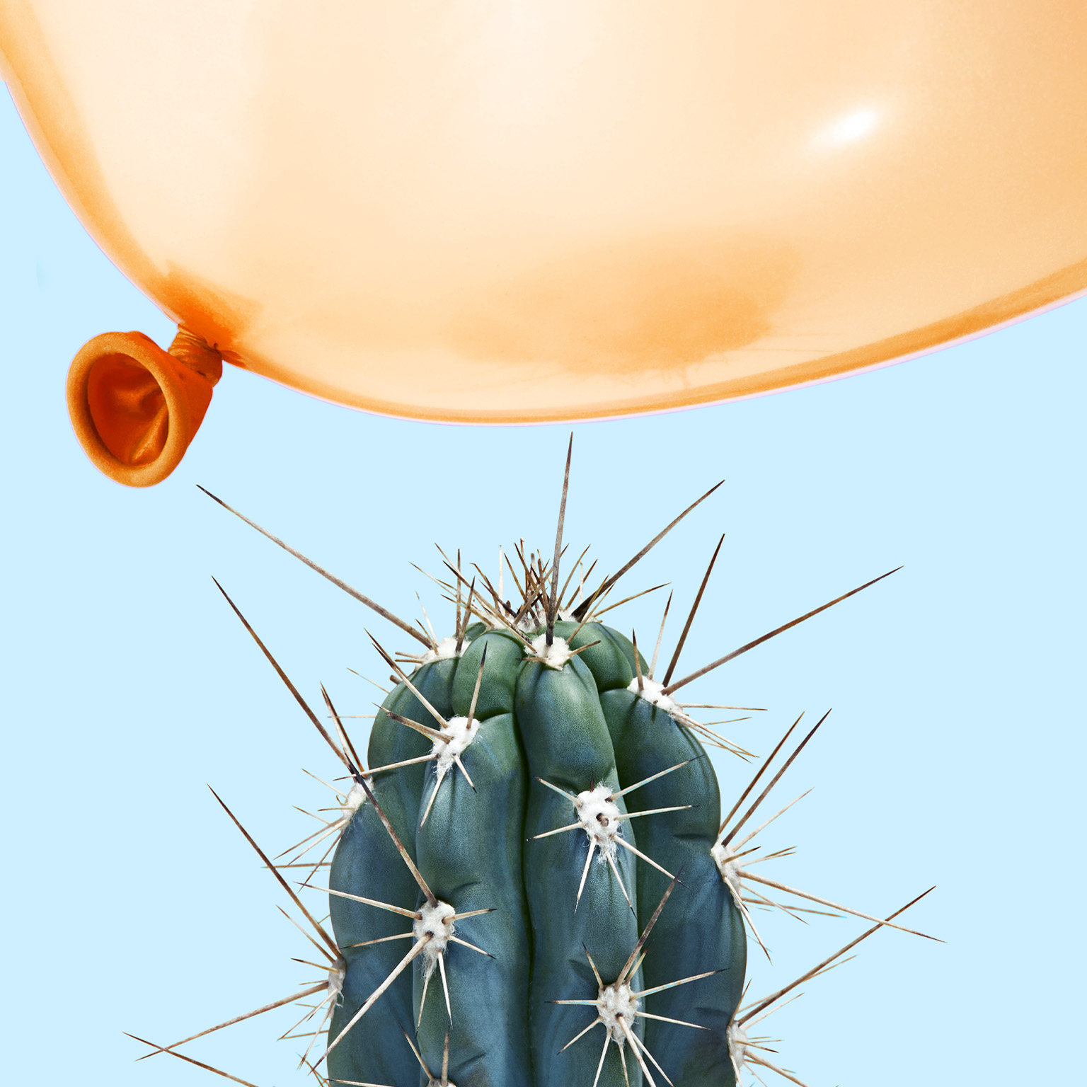 A balloon flying dangerously close to a cactus.