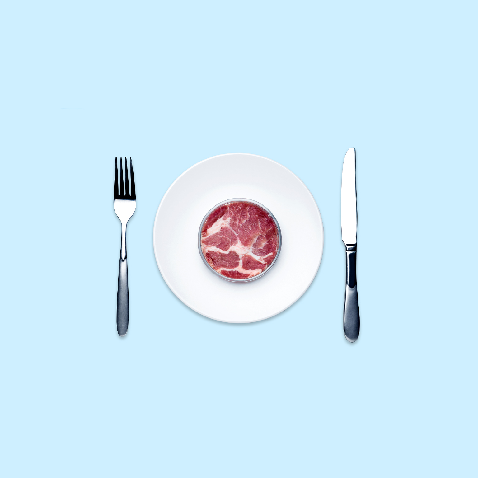 Overhead view of lab grown meat in a Petri dish served on a white plate on a light blue table.
