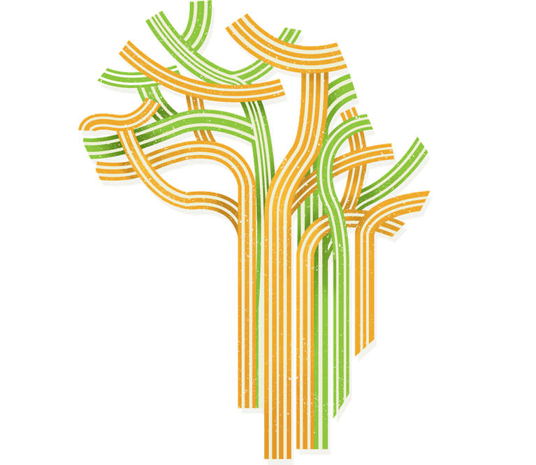 Africa's overlooked business revolution