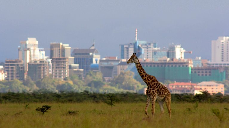 Africa's overlooked business revolution