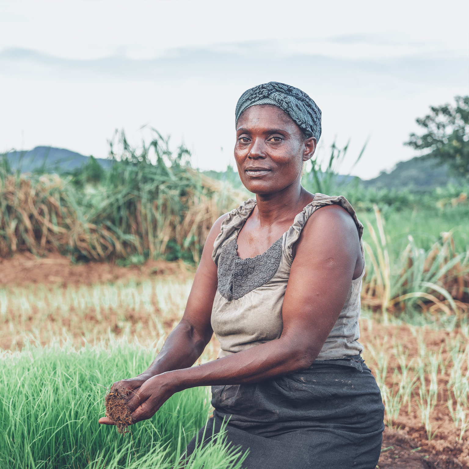 Safeguarding Africa’s food systems through and beyond the crisis