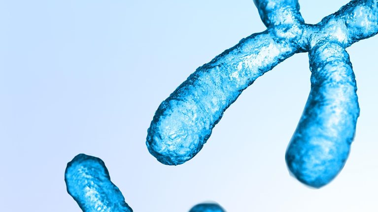 Blue-colored chromosome structure in microscopic view