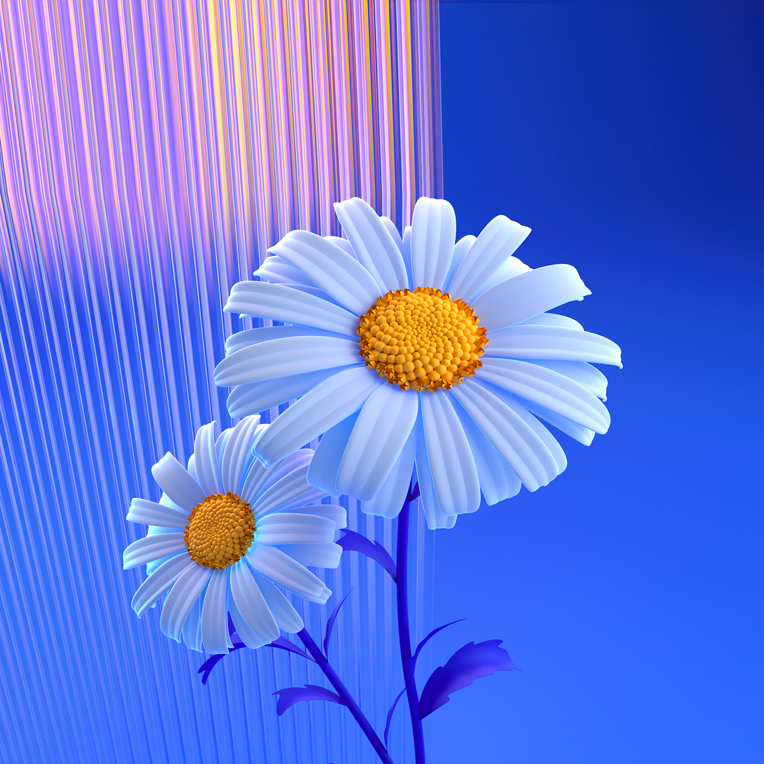 Stylized white daisies with yellow centers on blue background