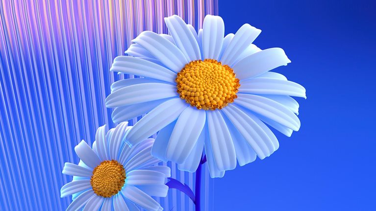 Stylized white daisies with yellow centers on blue background