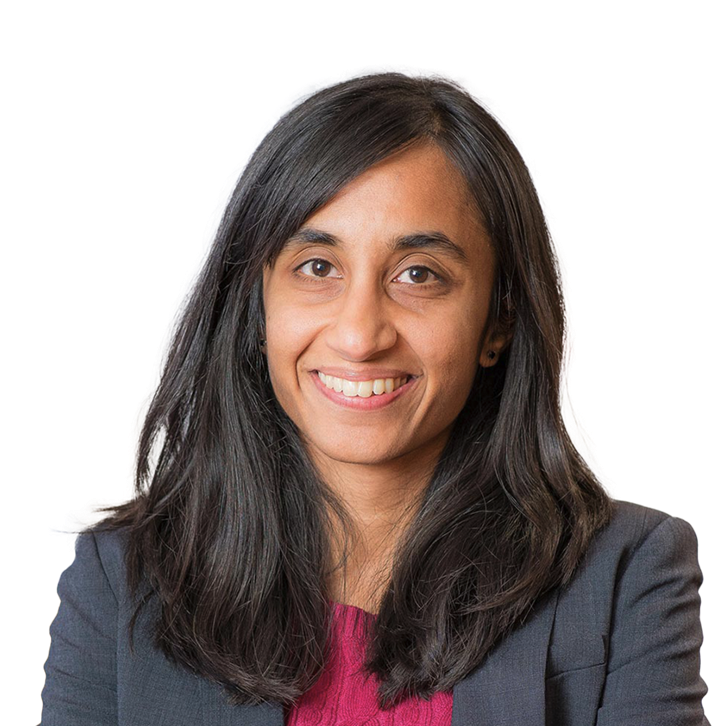 This is a profile image of Mekala Krishnan